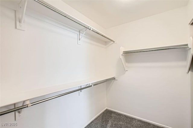 spacious closet with dark colored carpet