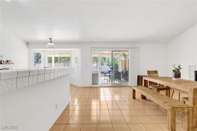 dining room with light tile patterned flooring and plenty of natural light