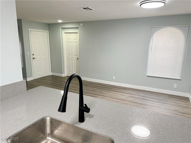 interior details featuring dark wood-type flooring and sink