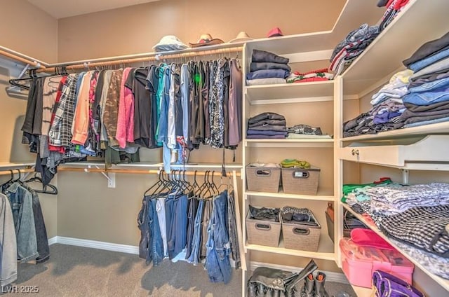 walk in closet featuring carpet