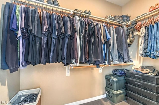 walk in closet with carpet floors