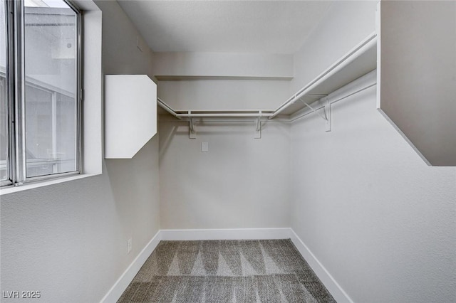 walk in closet with carpet