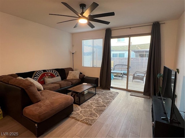 living room featuring ceiling fan and light hardwood / wood-style flooring