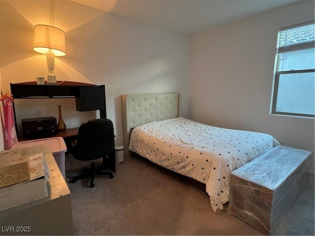 bedroom with carpet