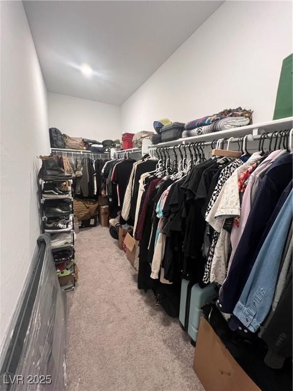 walk in closet with carpet