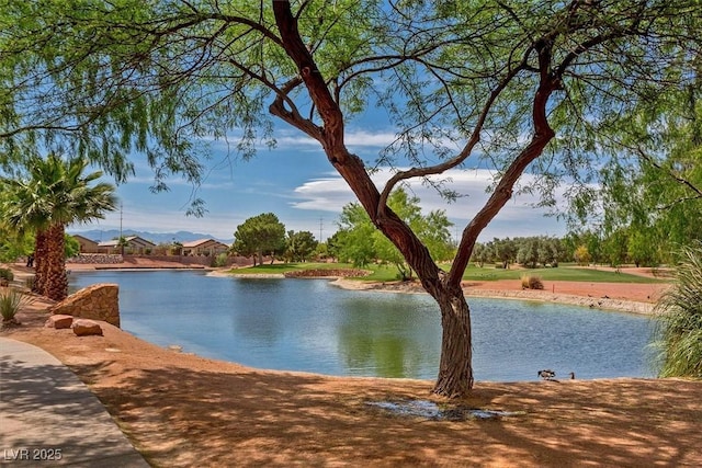 view of water feature