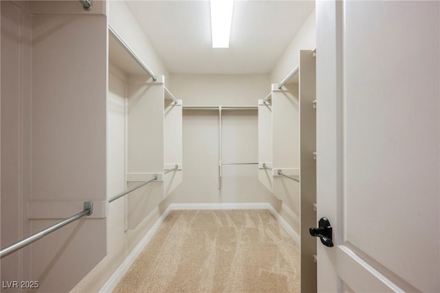 walk in closet with light colored carpet