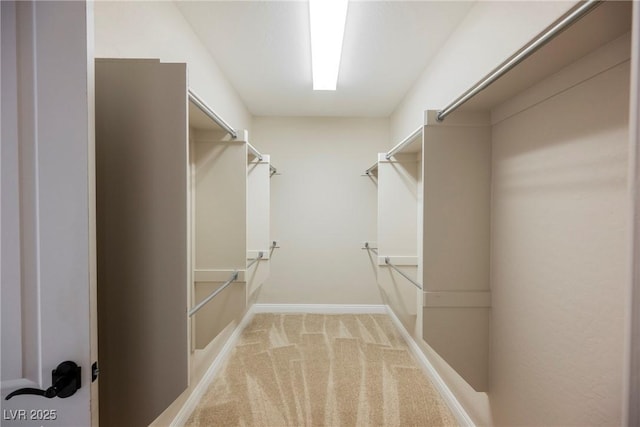 spacious closet featuring light carpet