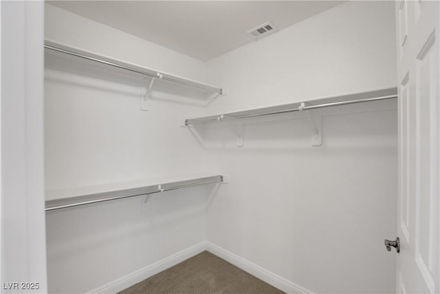 walk in closet with carpet floors