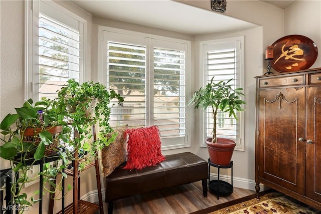 sitting room with hardwood / wood-style floors