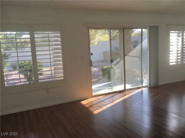 entryway with plenty of natural light and dark hardwood / wood-style floors