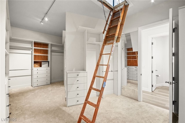 walk in closet with light carpet