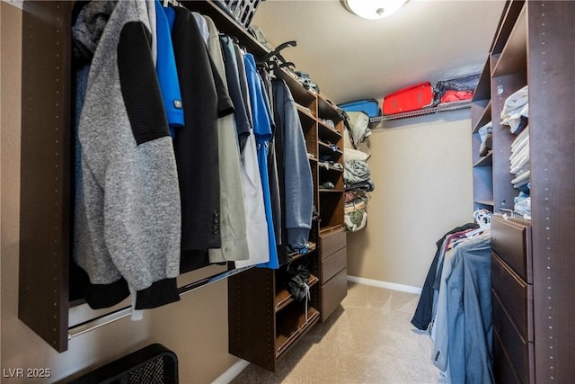 spacious closet featuring light colored carpet