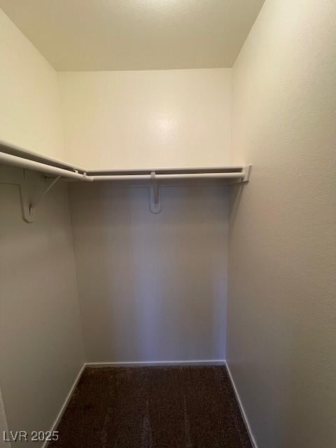 walk in closet with carpet