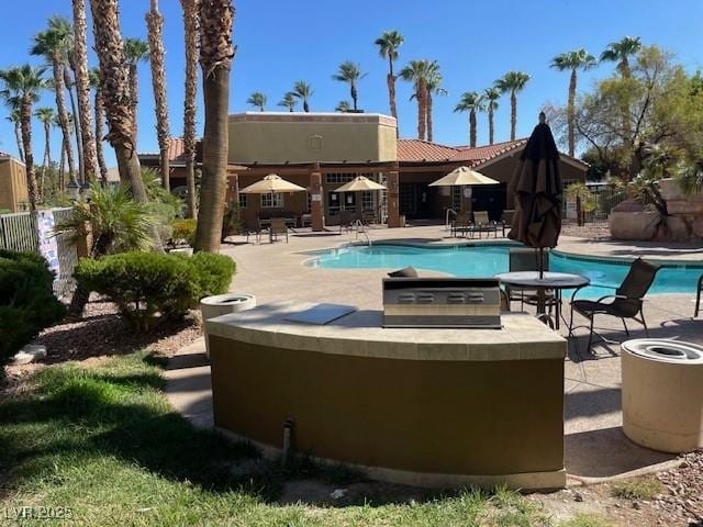 view of swimming pool with a patio and exterior kitchen