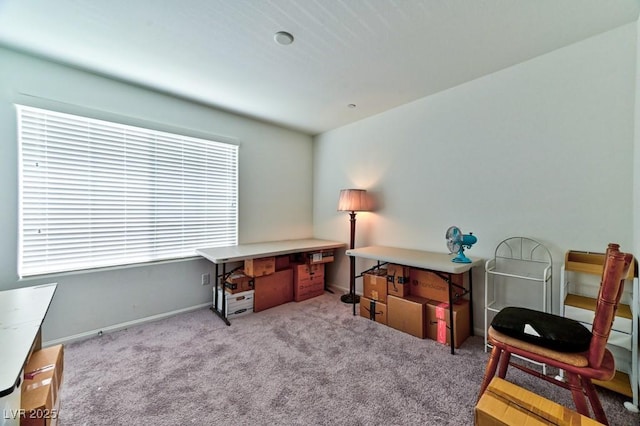 view of carpeted home office