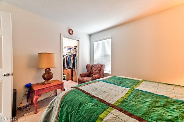 carpeted bedroom featuring a walk in closet and a closet