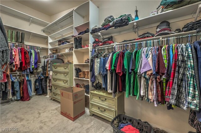 walk in closet with light colored carpet