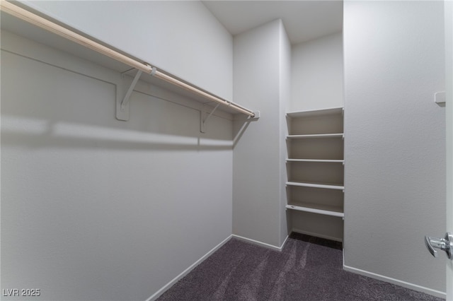 spacious closet with dark colored carpet