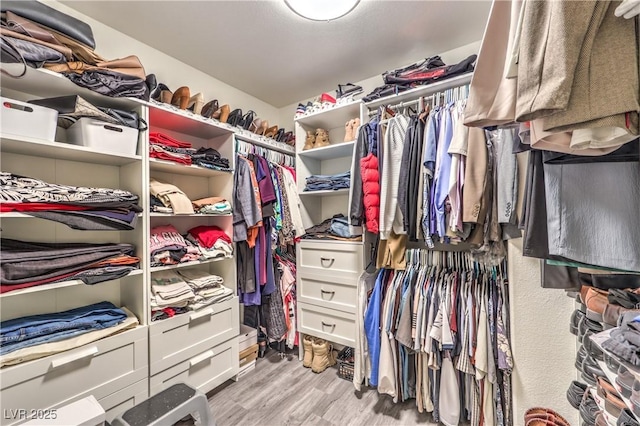 walk in closet featuring light wood-type flooring