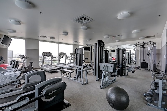 workout area featuring a wall of windows