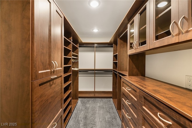 walk in closet featuring dark hardwood / wood-style floors