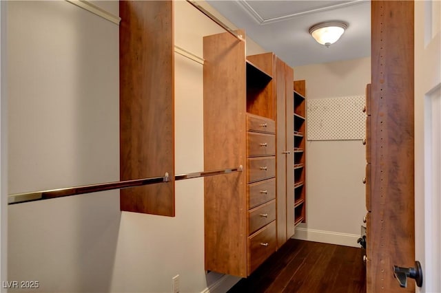 spacious closet featuring dark hardwood / wood-style floors