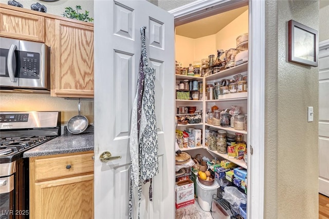 view of pantry