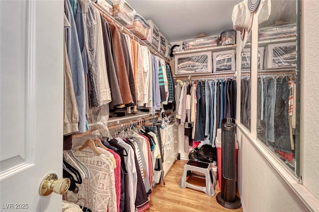 walk in closet with light hardwood / wood-style flooring