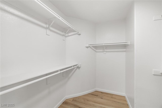 spacious closet featuring wood finished floors