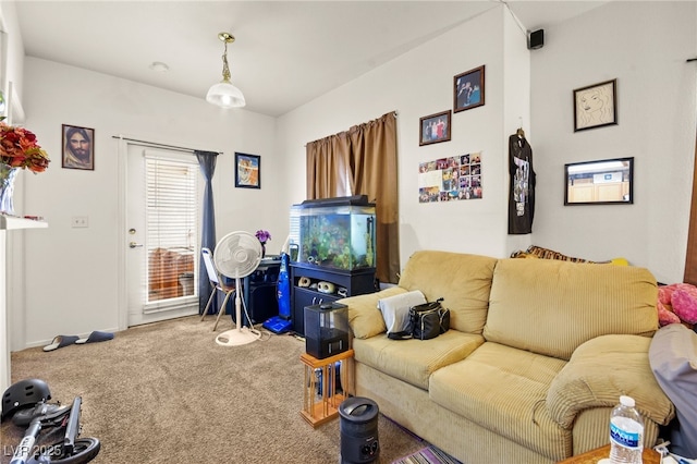 living room featuring carpet flooring