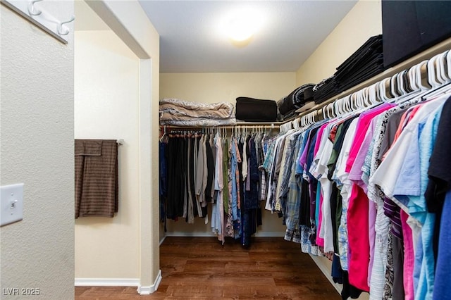 spacious closet featuring dark hardwood / wood-style flooring