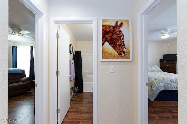 hallway featuring dark wood-type flooring