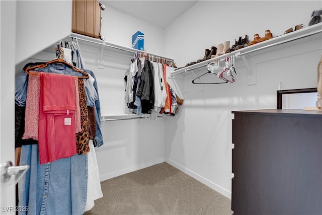 spacious closet with carpet