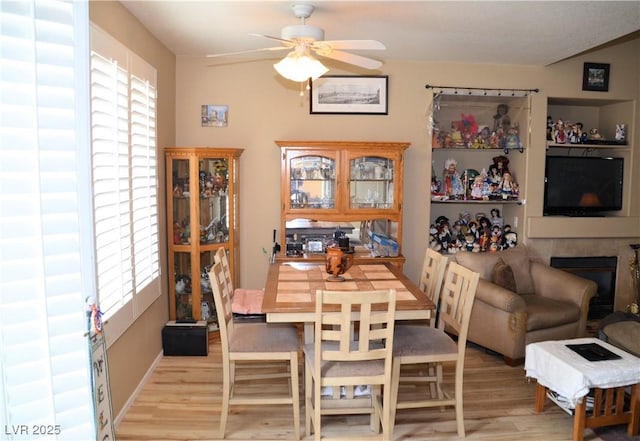 dining room featuring a tiled fireplace, ceiling fan, and light wood-type flooring