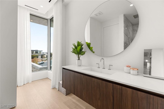 bathroom featuring hardwood / wood-style flooring and vanity