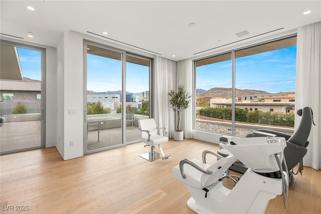 interior space featuring floor to ceiling windows, a mountain view, light hardwood / wood-style flooring, and plenty of natural light