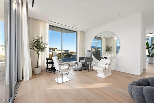 sitting room with light hardwood / wood-style floors