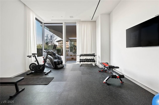 exercise area featuring expansive windows