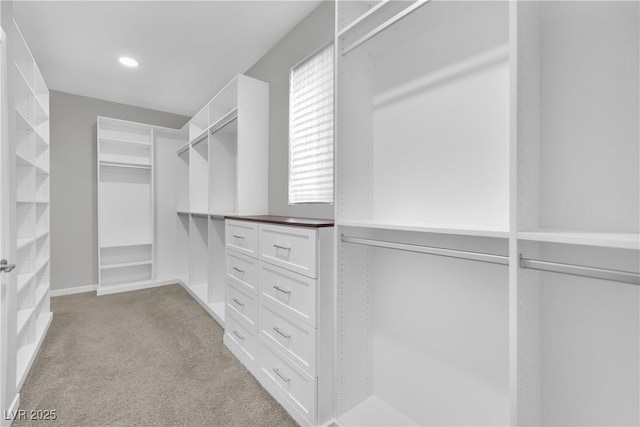 spacious closet with light colored carpet