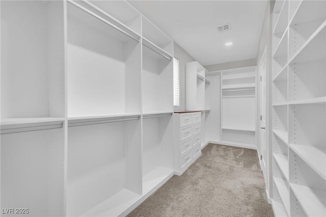 walk in closet with light carpet