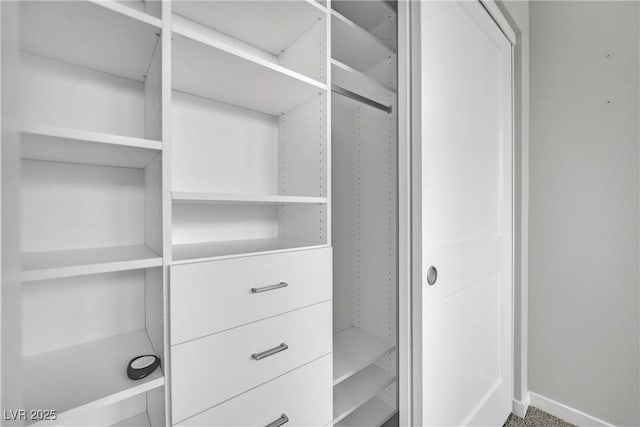 view of walk in closet