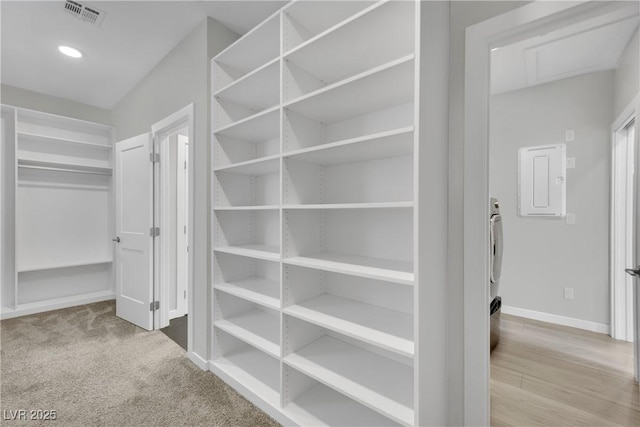 spacious closet featuring carpet