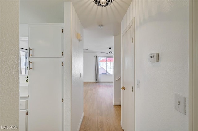 hallway featuring light wood-type flooring