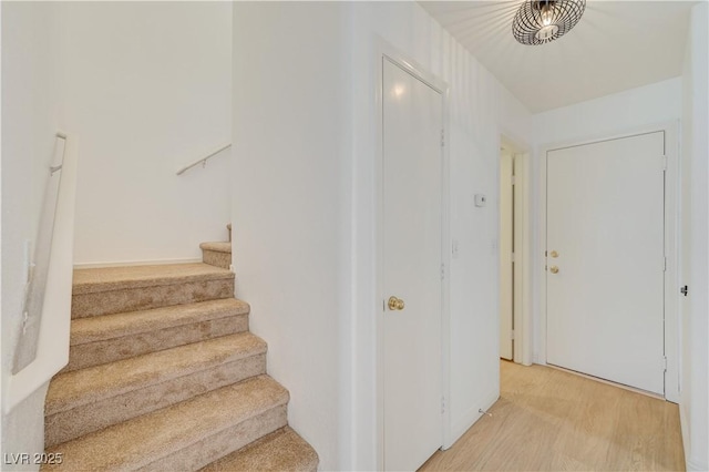 staircase featuring hardwood / wood-style flooring