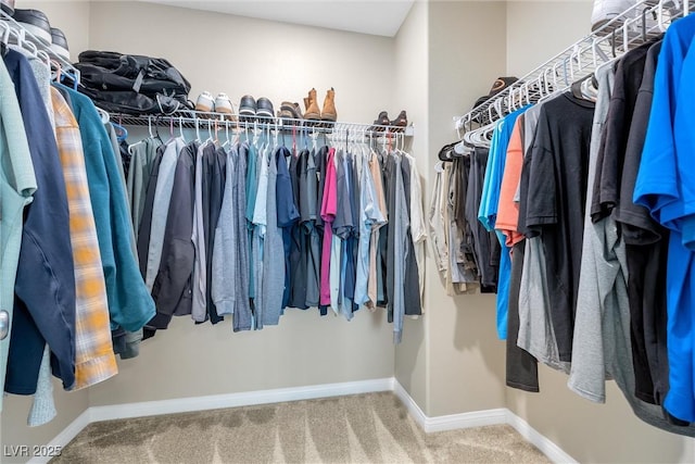 walk in closet featuring carpet flooring