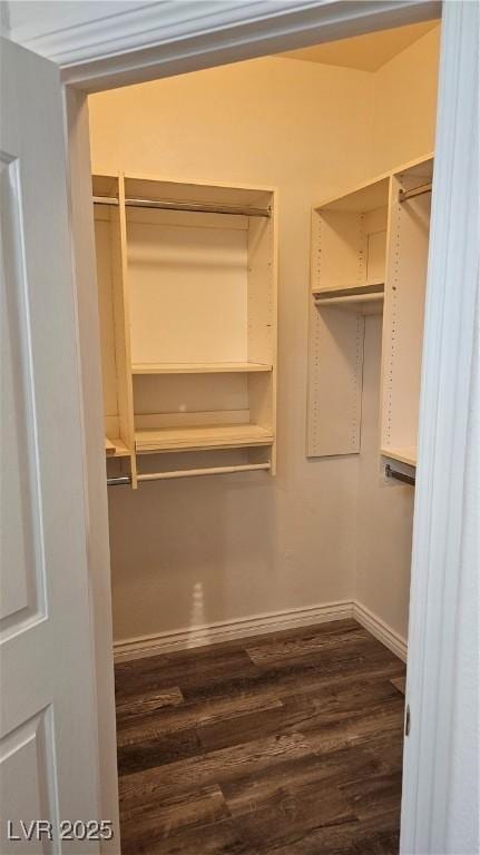 walk in closet featuring dark wood-style flooring