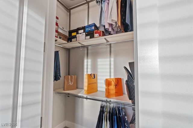 view of walk in closet