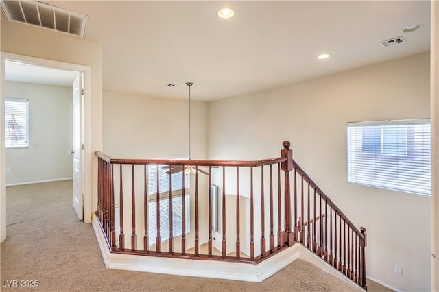 staircase with carpet