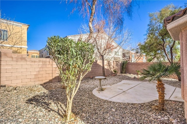 view of yard with a patio area